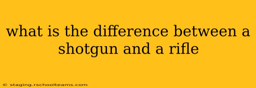 what is the difference between a shotgun and a rifle