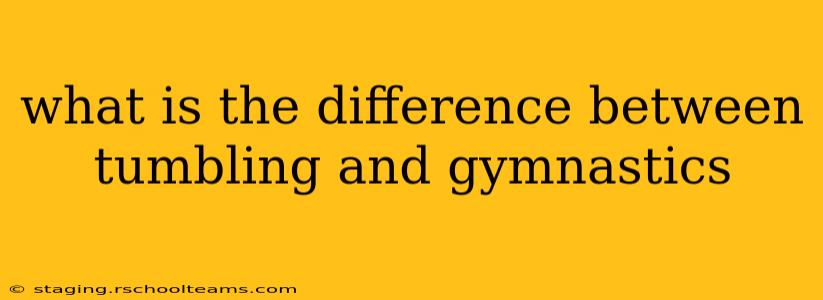 what is the difference between tumbling and gymnastics
