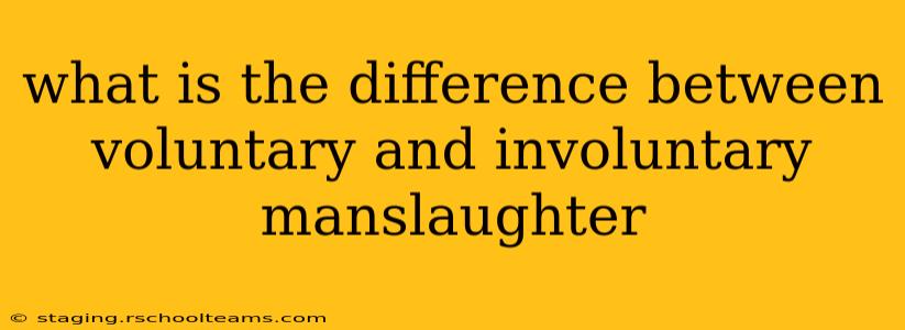 what is the difference between voluntary and involuntary manslaughter