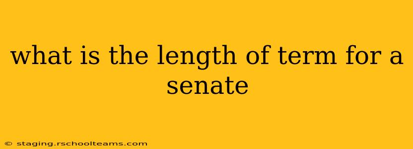 what is the length of term for a senate