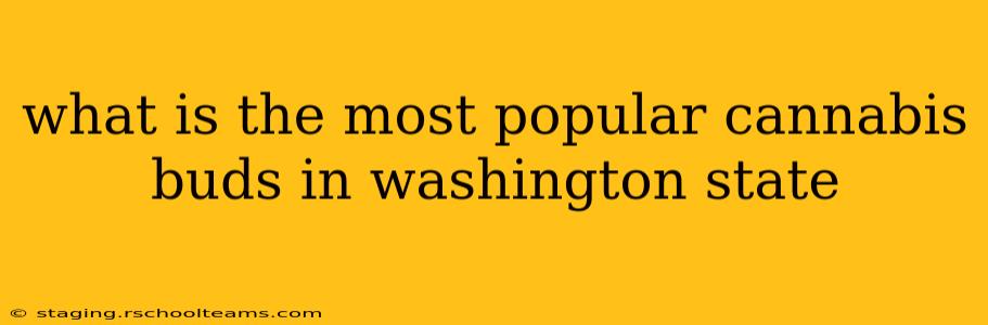 what is the most popular cannabis buds in washington state