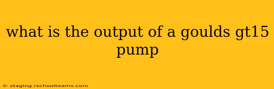 what is the output of a goulds gt15 pump