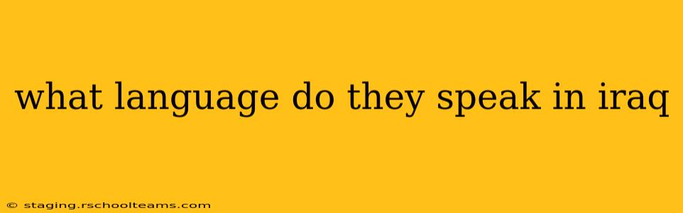 what language do they speak in iraq