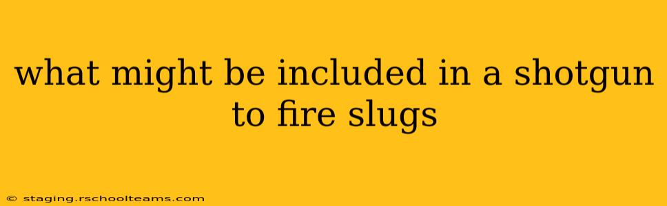 what might be included in a shotgun to fire slugs