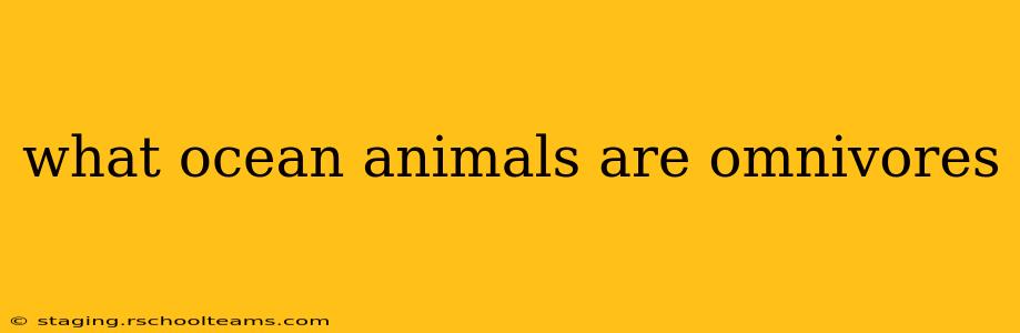what ocean animals are omnivores