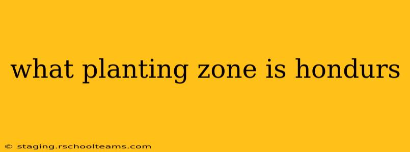 what planting zone is hondurs