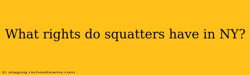 What rights do squatters have in NY?