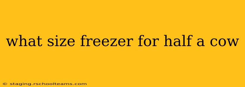 what size freezer for half a cow
