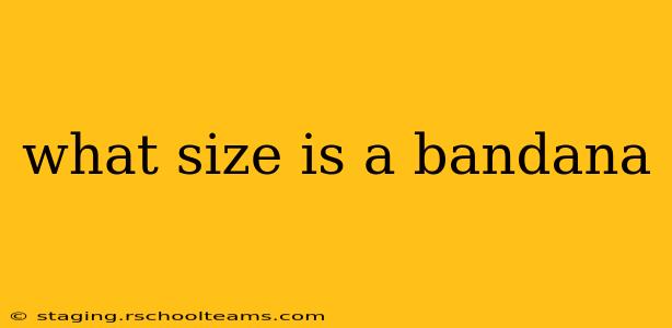 what size is a bandana