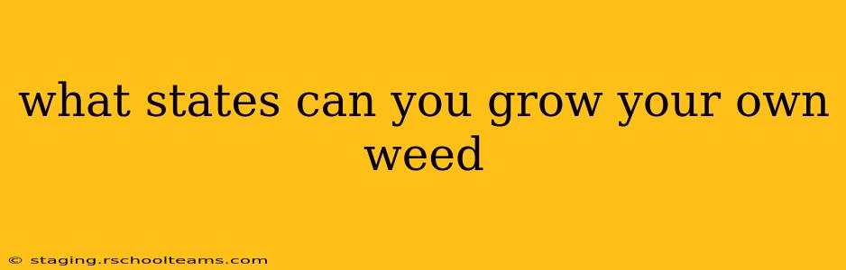 what states can you grow your own weed
