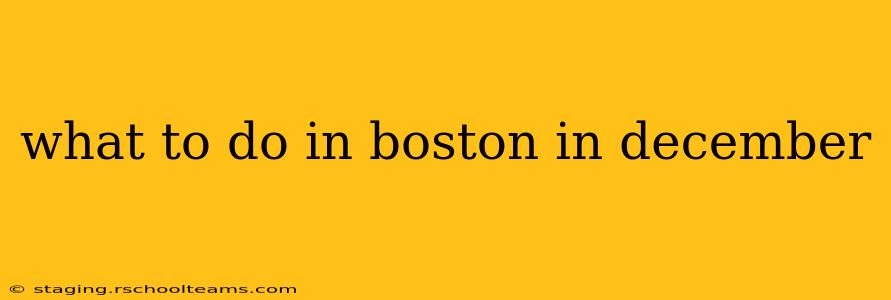 what to do in boston in december