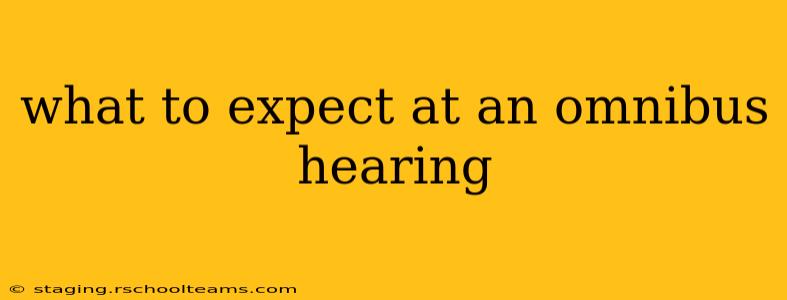 what to expect at an omnibus hearing