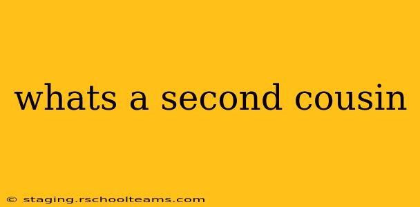 whats a second cousin