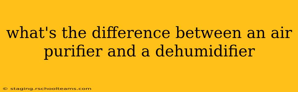 what's the difference between an air purifier and a dehumidifier