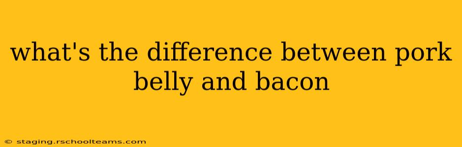 what's the difference between pork belly and bacon