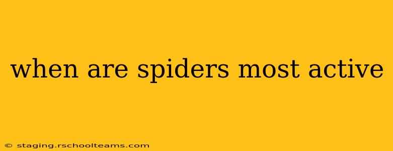 when are spiders most active