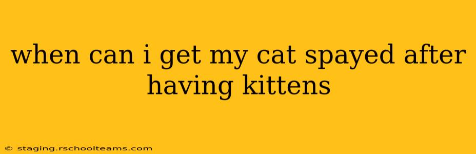 when can i get my cat spayed after having kittens