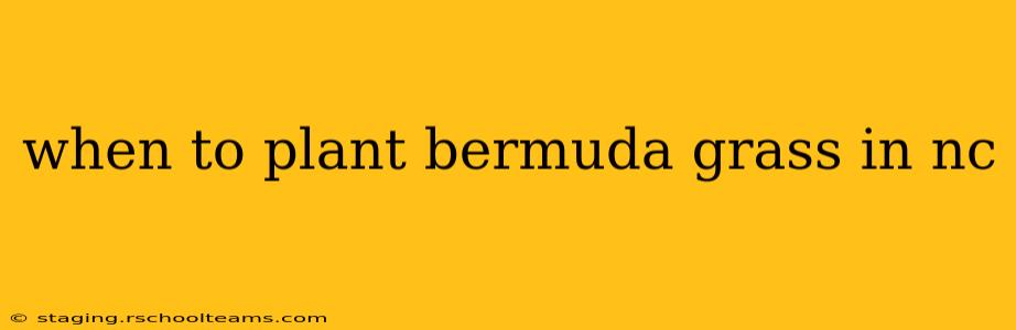when to plant bermuda grass in nc