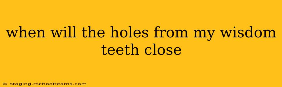 when will the holes from my wisdom teeth close