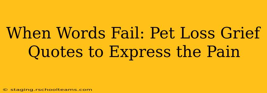 When Words Fail: Pet Loss Grief Quotes to Express the Pain