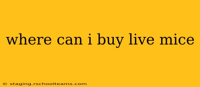 where can i buy live mice