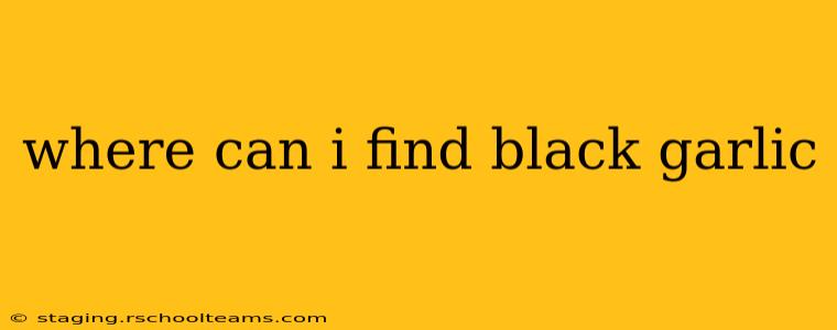 where can i find black garlic