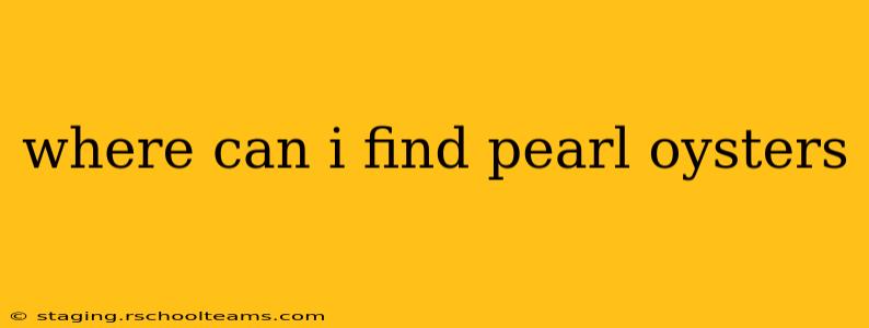 where can i find pearl oysters