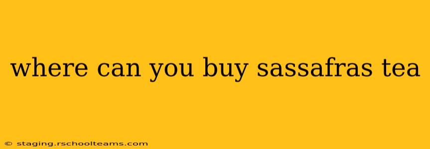 where can you buy sassafras tea