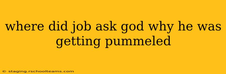 where did job ask god why he was getting pummeled