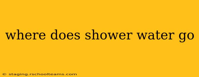 where does shower water go