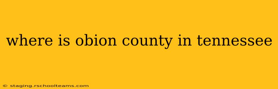 where is obion county in tennessee