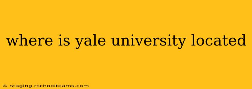 where is yale university located
