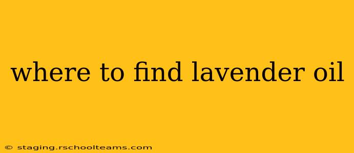 where to find lavender oil