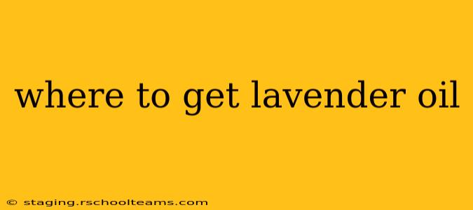 where to get lavender oil