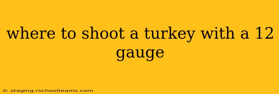 where to shoot a turkey with a 12 gauge
