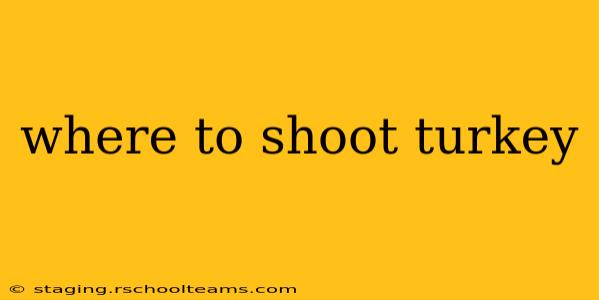 where to shoot turkey