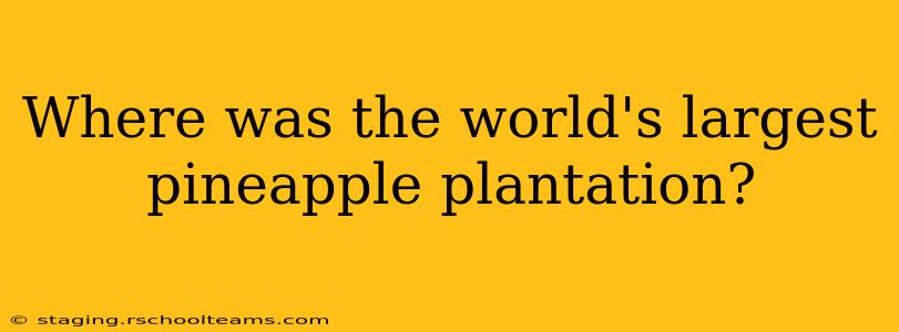 Where was the world's largest pineapple plantation?