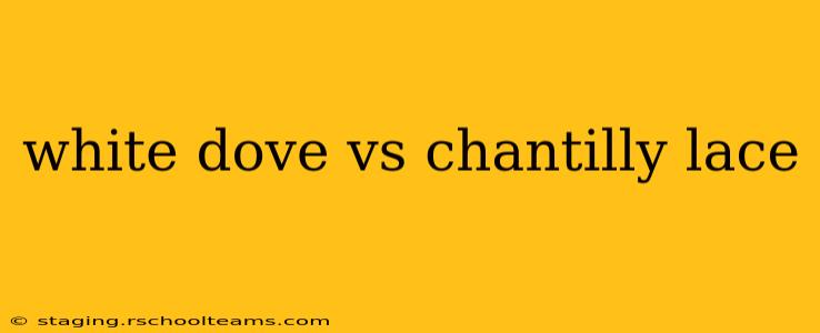 white dove vs chantilly lace