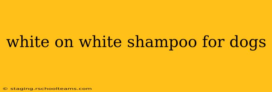 white on white shampoo for dogs