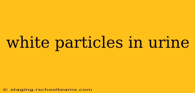 white particles in urine