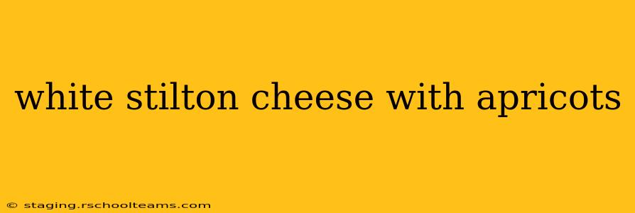 white stilton cheese with apricots
