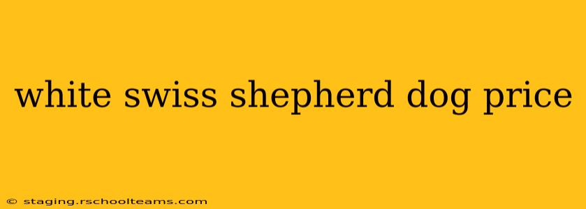 white swiss shepherd dog price