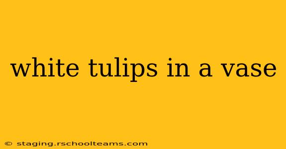 white tulips in a vase