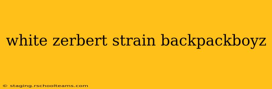 white zerbert strain backpackboyz
