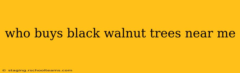 who buys black walnut trees near me