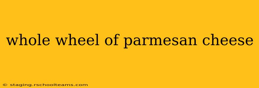 whole wheel of parmesan cheese