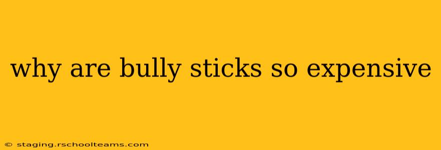 why are bully sticks so expensive