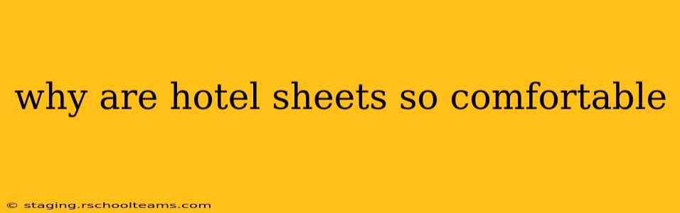 why are hotel sheets so comfortable