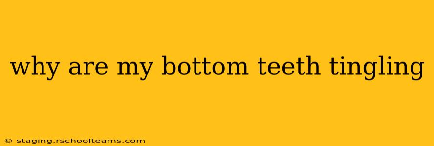 why are my bottom teeth tingling