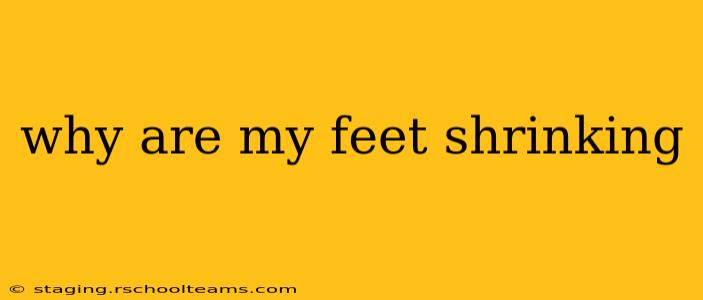 why are my feet shrinking